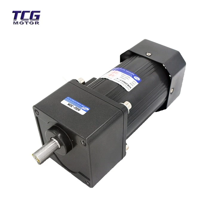 200W Micro motor