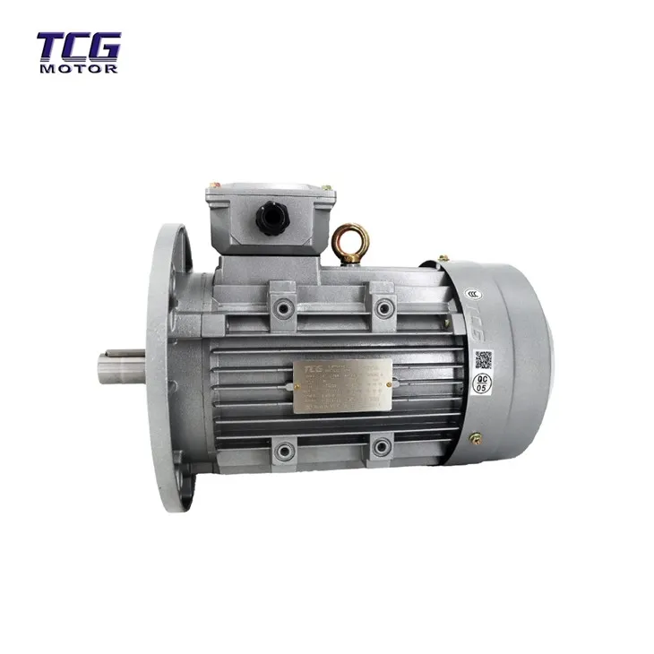 Vertical flanged motor