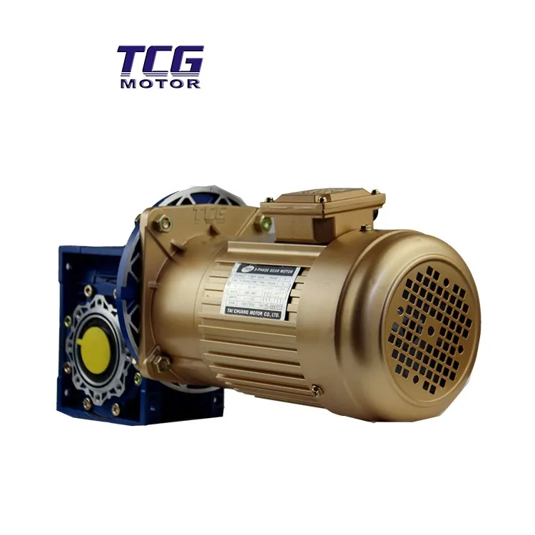 220V Motor